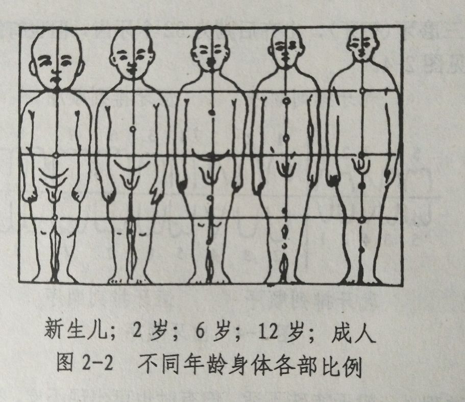 宝宝脖子短的原因分析