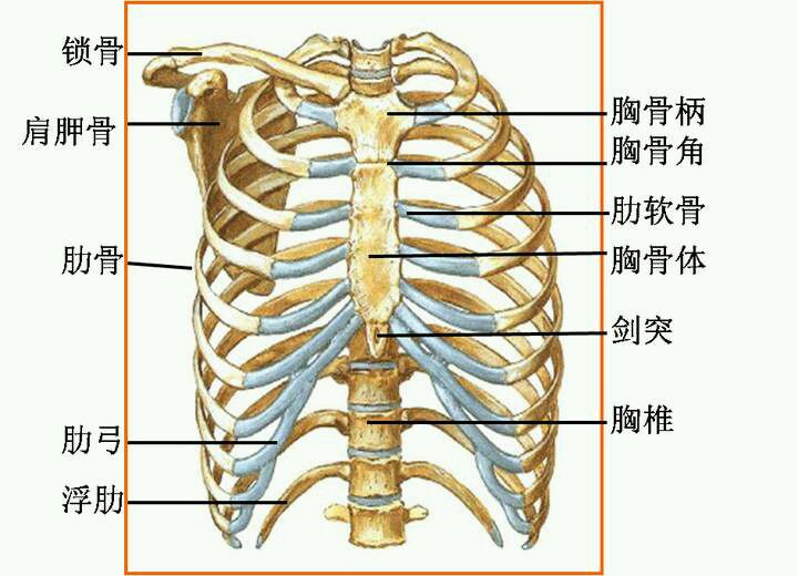 胸壁疼痛