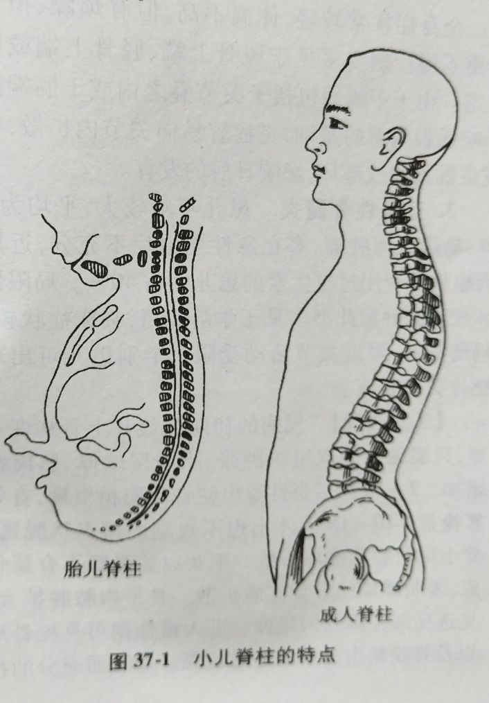 宝宝脖子短的原因分析